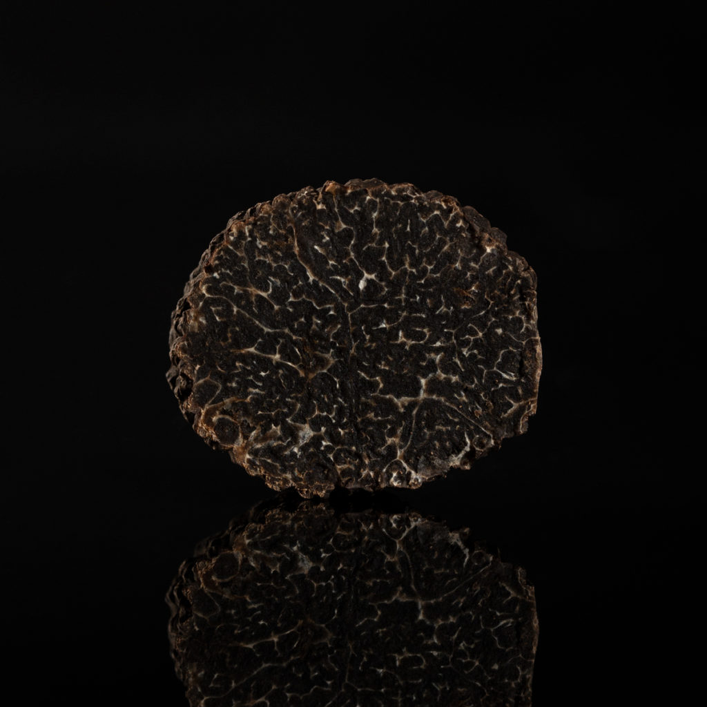 Mise en lumière d’une truffe – studio culinaire ANABEN IMAGE IN photographe packshot à Valence (Drôme)