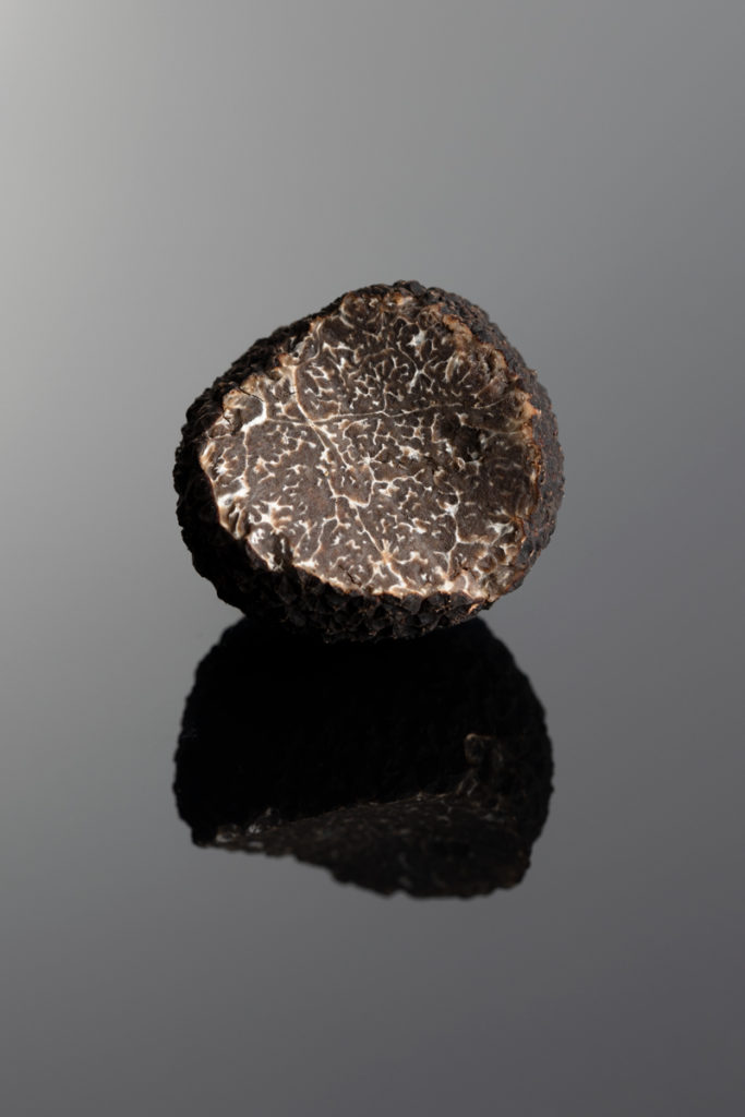 Gros plan sur une truffe gastronomique – photo culinaire ANABEN IMAGE IN photographe packshot à Valence (Drôme)